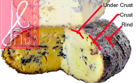 Cheese Structure
