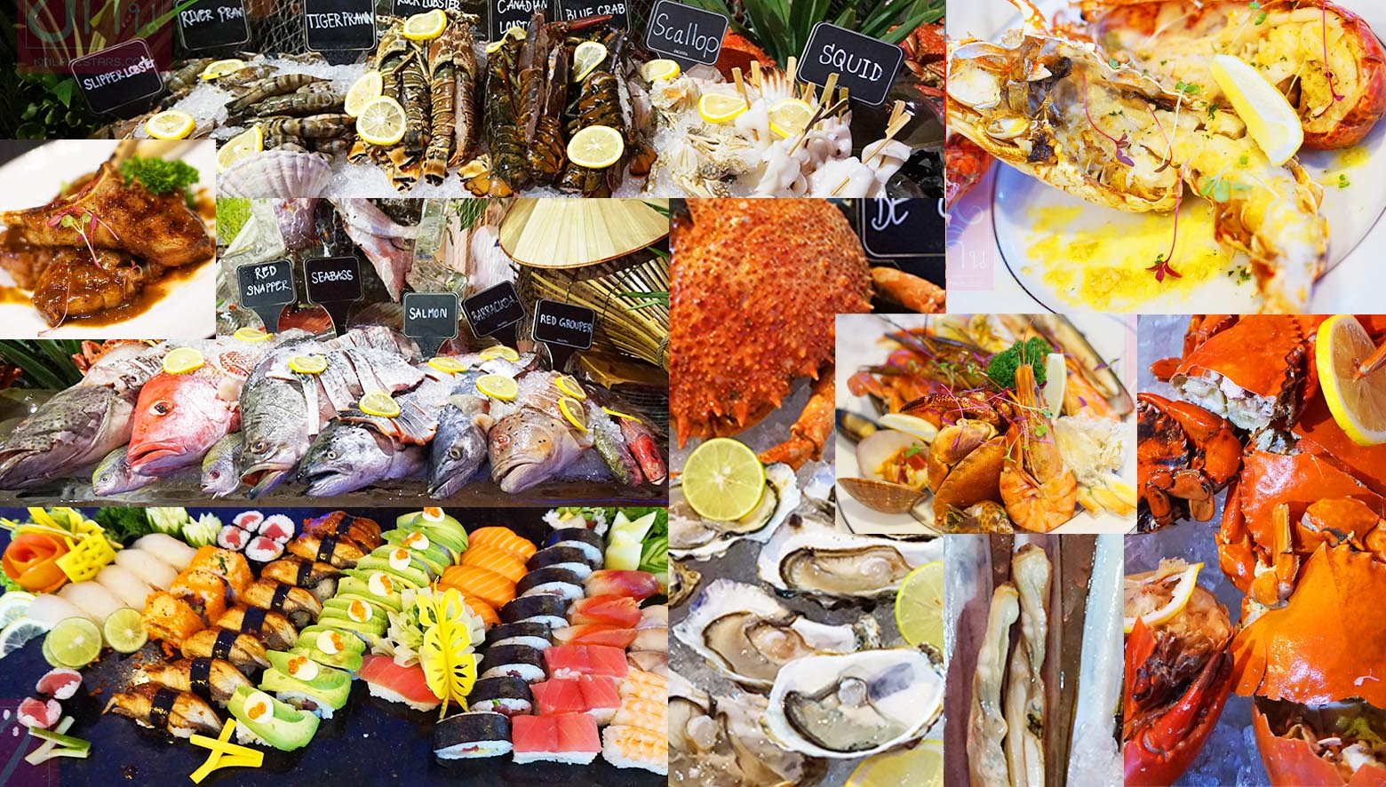 voila_buffet_seafood-market_review